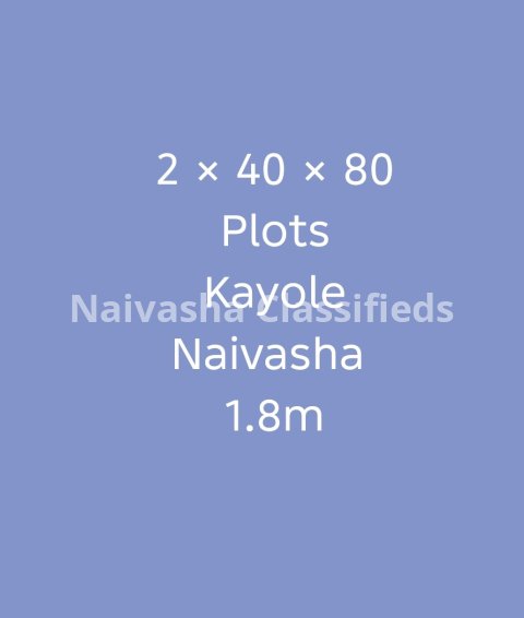 2 plots of 40x80 for sale in Kayole
