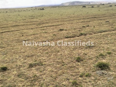 1 acre land for Sale in Mirera Naivasha