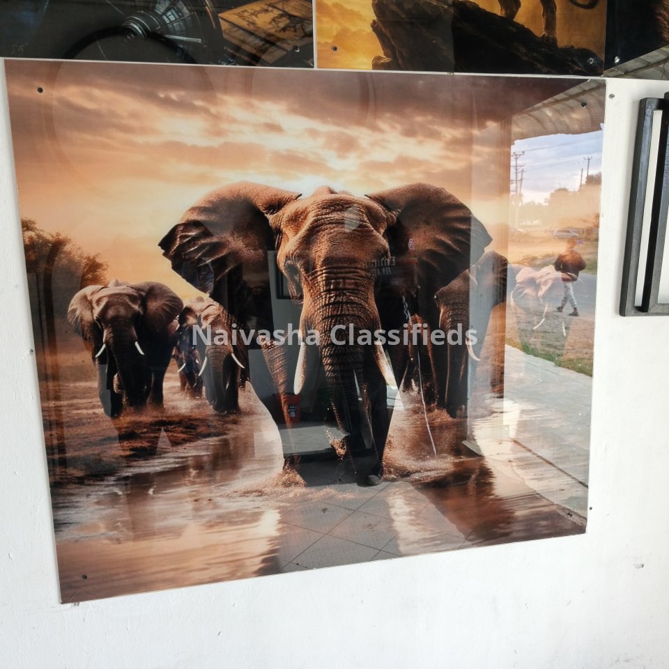 Glass Wall mounts - 0746829189