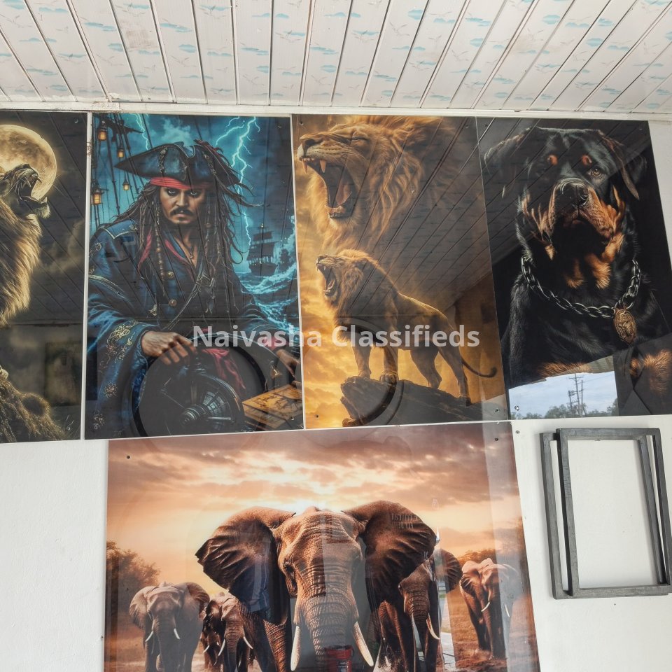 Glass Wall mounts - 0746829189
