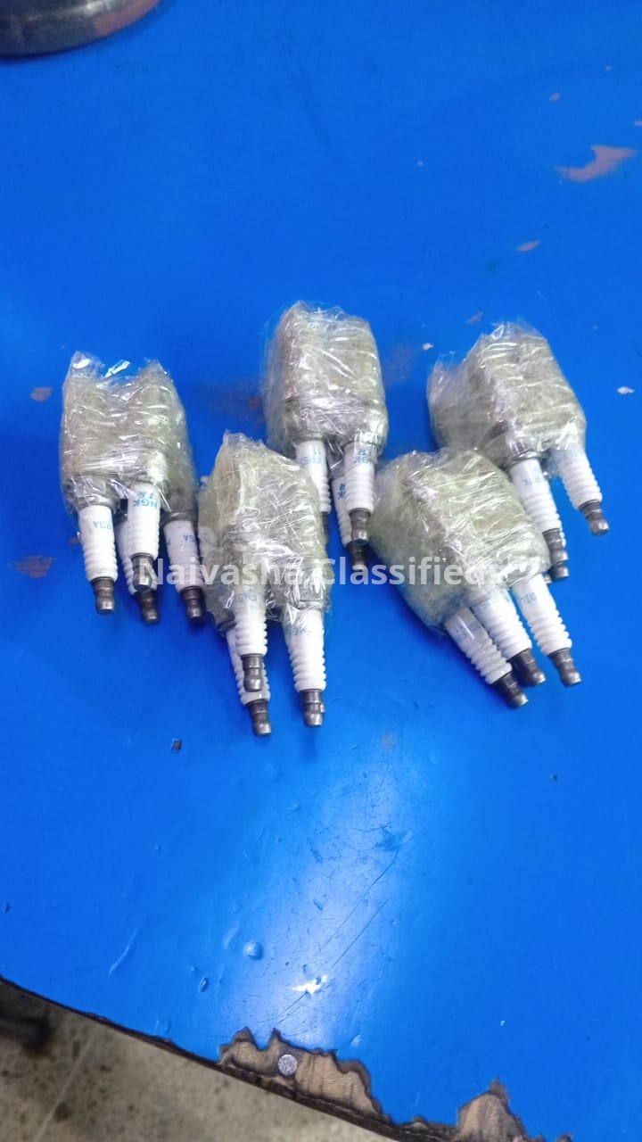 Plugs