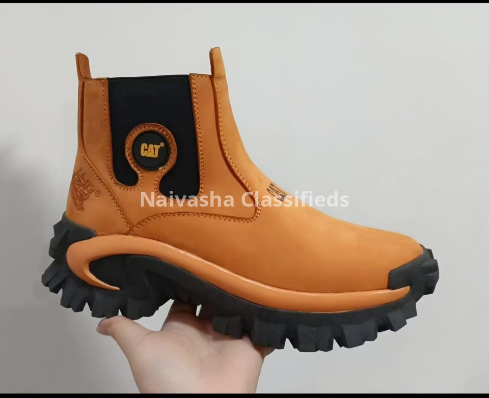 Cat Shoes