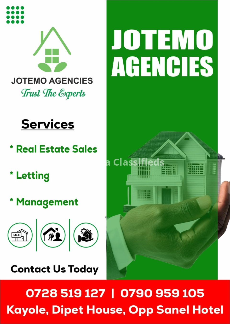 Real Estate Agent