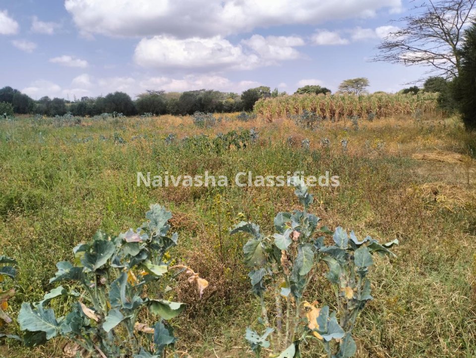 1 acre land for sale in Naivasha Mastima