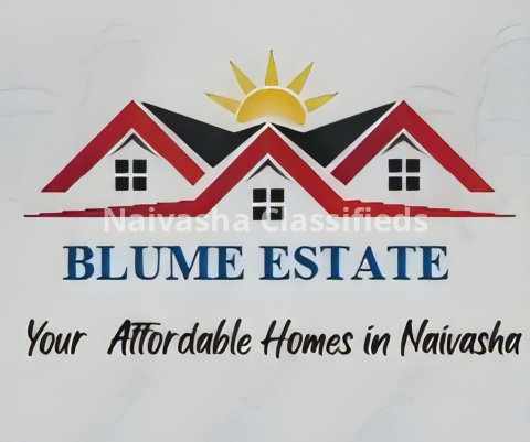 Real Estate Agent