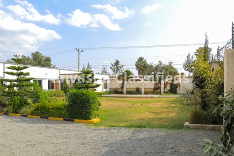 Bed & Breakfast-THE BOON SUITES 8