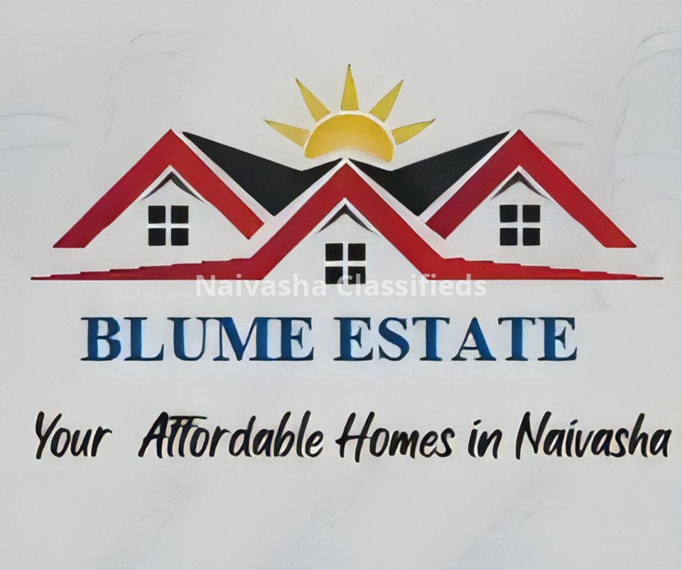 Real Estate Agent