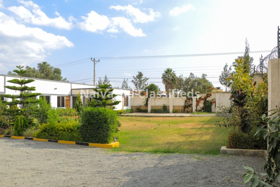 Bed & Breakfast-THE BOON SUITES