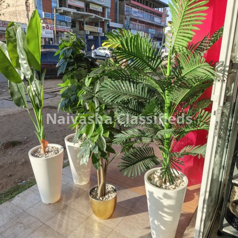 Decor in Naivasha