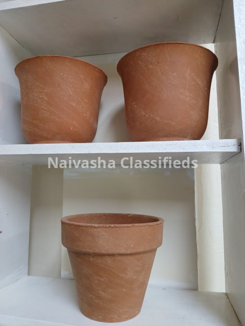 Live plants & pots 6