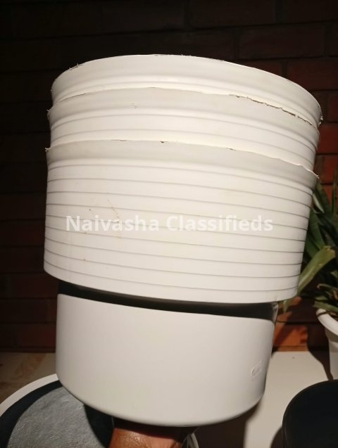 Live plants & pots 4