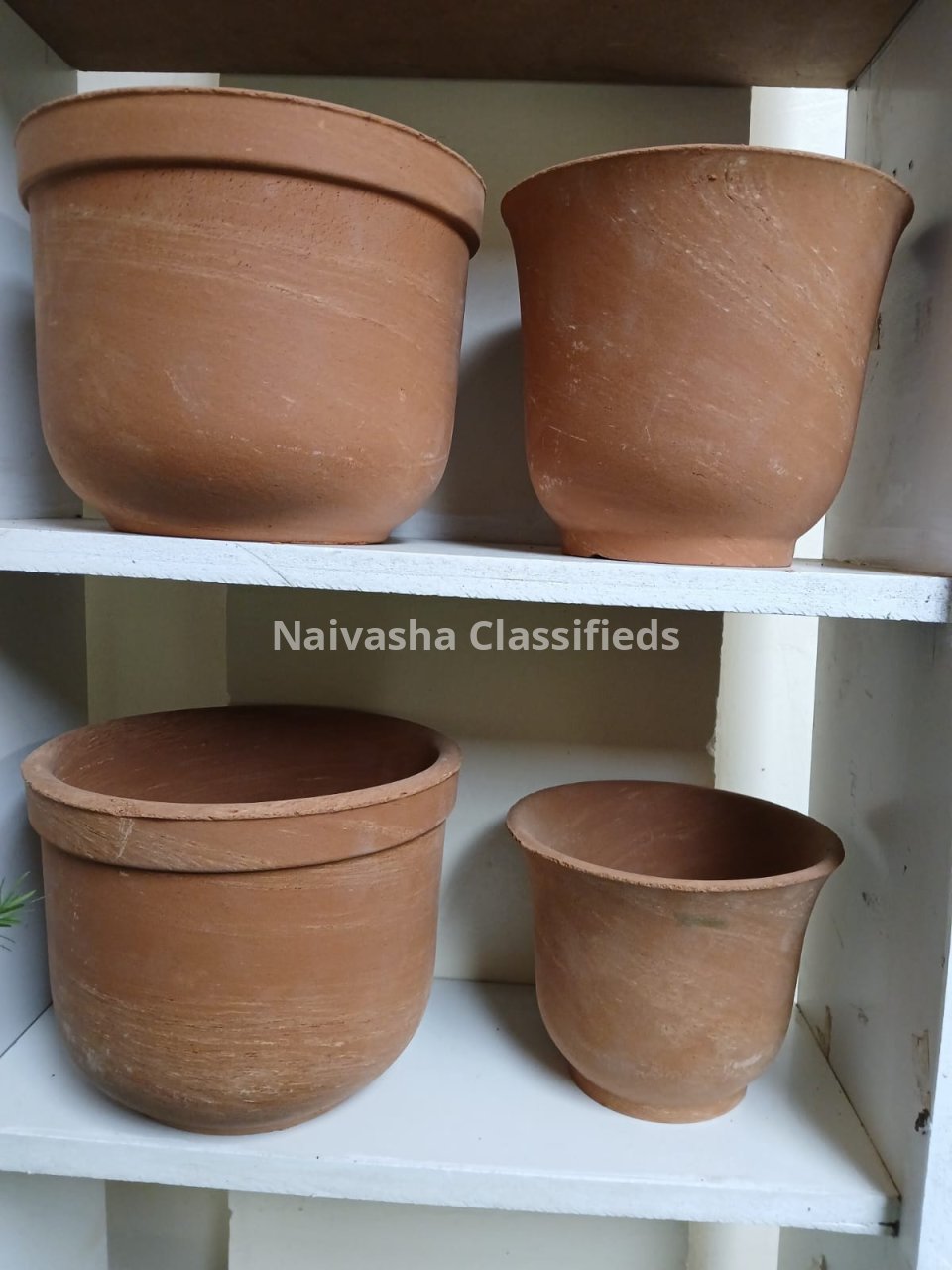 Live plants & pots