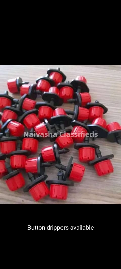Button Drippers in Naivasha