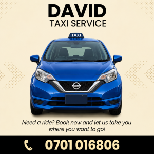 DAVID TAXI